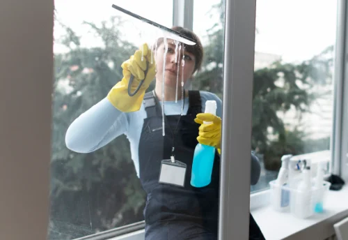 Nettoyage de vitres intérieures et extérieures à Saulon-la-Chapelle